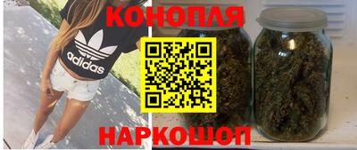 PSILOCYBIN Бугуруслан