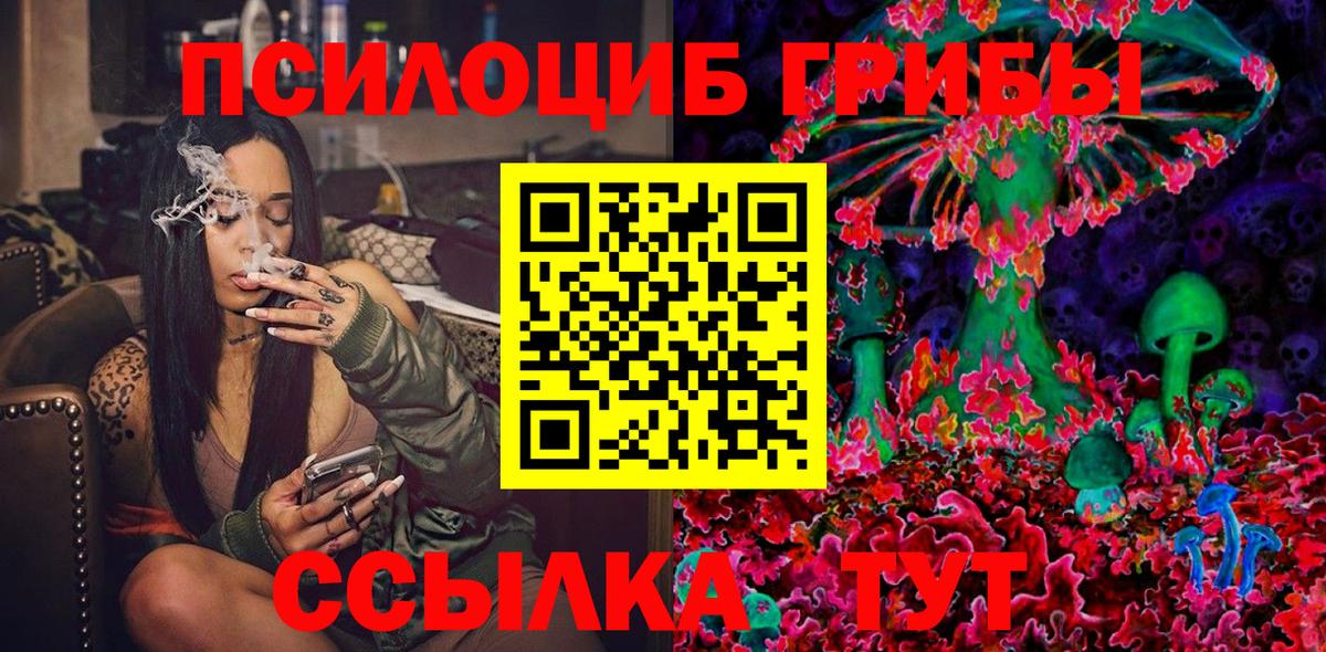 Истра  Галлюциногенные грибы Psilocybine cubensis  Вход с VPN 