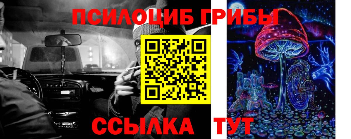 Псилоцибиновые грибы мицелий Истра